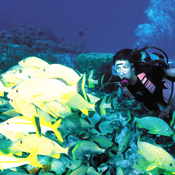 Buceo en Cancun